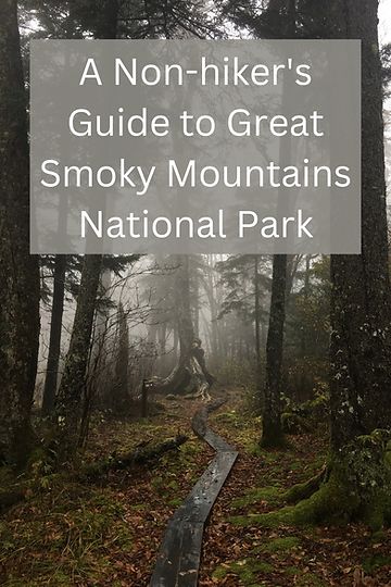 Misty forest with wooden path winding through the trees with the words A Non-hiker's Guide to the Great Smoky Mountains National Park Great Smoky Mountain National Park, Tennessee Family Vacation, Travel Tennessee, Asheville Hikes, Gatlinburg Tennessee Vacation, Mountains Tennessee, Smokey Mountains Vacation, Smoky Mountains Tennessee, Mountains Vacation