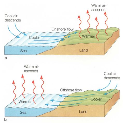 wind direction Arugam Bay, Sailing Lessons, Solar Energy Facts, Weather Chart, Solar Energy Diy, Energy Activities, Indian History Facts, Geography Lessons, Wind Direction