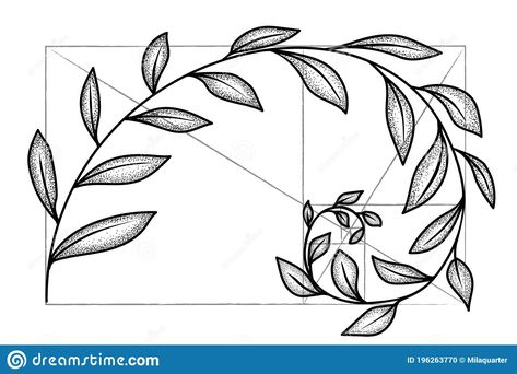 Fibonacci Sequence Art, Tatouage Fibonacci, Fibonacci Flower, Golden Spiral Tattoo, Fibonacci Spiral Tattoo, Fibonacci Sequence In Nature, Spiral Sketch, Fibonacci Spiral Art, Golden Ratio Tattoo