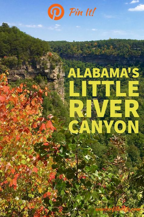 Northeast Alabama's Little River Canyon National Preserve and Russell Cave National Monument provide rich cultural history and rugged natural beauty. Little River Canyon Alabama, 50 States Travel, North Alabama, Alabama Travel, Southern Travel, River Canyon, National Park Road Trip, National Parks Trip, United States Travel