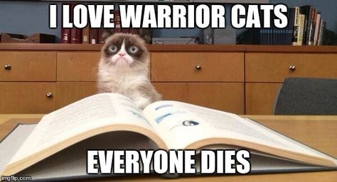 Warrior Cats Quotes, Warriors Memes, Warrior Cats Funny, Warrior Cat Memes, Warrior Cats Comics, Warrior Cats Series, Serval Cats, Herding Cats, Warrior Cats Books