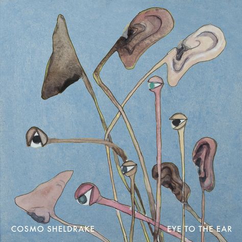 Eye To The Ear, by Cosmo Sheldrake Cosmo Sheldrake, Alternative Artists, The Ear, Music Genres, Record Store, Studio Album, Twenty One, 100 000, New Album