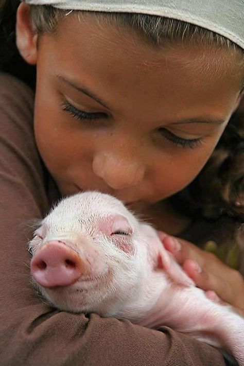 Happy Pig, Mini Pigs, Baby Pigs, Cute Pigs, Little Pigs, The Farm, Animals Friends, Pigs, Beautiful Creatures