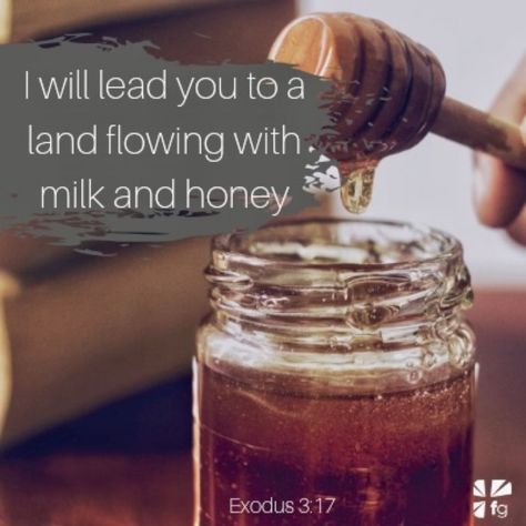 Richard Rivera on LinkedIn: The Good Land! Today's Scripture: “For the LORD your God is bringing you… | 13 comments The Land Of Milk And Honey, Electronic Illustration, Land Of Milk And Honey, Exodus 3, God's Voice, Scripture For Today, Honey Water, Filling Food, God Will Provide