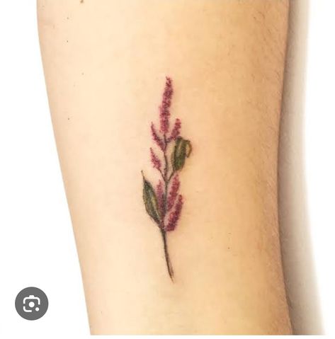 Amaranth Tattoo, Amaranth Flower, Flowers Tattoo, Amaranth, Flower Tattoos, Artsy Fartsy, Tatting, Tattoos, Art Prints