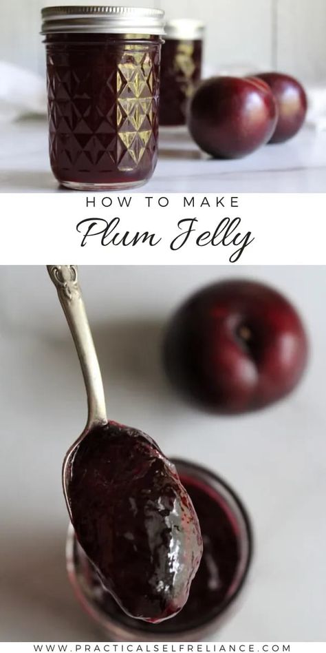 Plum Jelly No Pectin: 2 Ingredient Jelly Recipe for Canning - Wondering how to make plum jelly without pectin? This easy plum jelly recipe is for you! Made with only 2 ingredients, ripe plums and sugar, you can easily make homemade plum jelly this summer. Easy Plum Jelly Recipe | Plum Jelly Recipe No Pectin | Canning for Beginners | How to Make Fruit Jelly Recipes | How to Make Jelly From Fruit Plum Jelly Recipe Easy, Fruit Jelly Recipes, Plum Jam Recipe Easy, Plum Jelly Recipes For Canning, Plum Preserves Recipe Easy, Wild Plum Jelly Recipe Easy, Homemade Plum Jelly, Jelly Without Pectin, Plum Jelly Recipe No Pectin