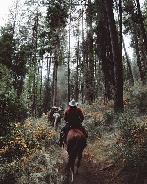 Western Aesthetic, Ranch Life, George Michael, Horse Life, Trail Riding, Horse Photography, Horse Love, Horse Girl, Horseback Riding