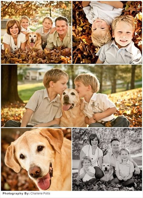 Family Of 4 With Dog Poses, Family Of 5 With Dog Picture Ideas, Family Photos With Dogs And Children, Family Of 4 With Dog, Family Of 4 Picture Poses With Dog, Family Poses With Dog, Family Photo Shoot With Dog, Family With Dog Photography, Family Pictures With Dogs And Kids