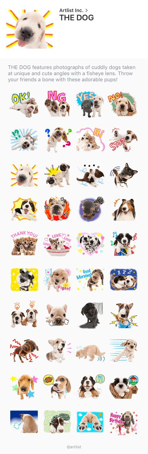 Who got LINE app on phone? THE DOG sticker available! Dog Artist, Goofy Dog, Fisheye Lens, Dog Line, Dog Sticker, Scrapbook Stickers Printable, Silly Dogs, Silly Animals, Line Sticker