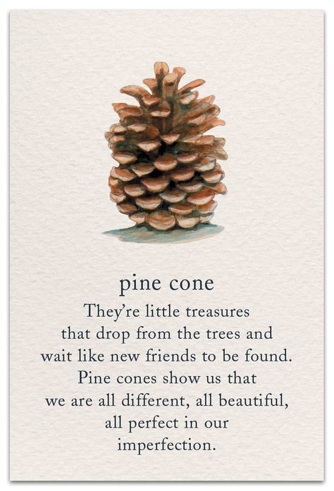 Inside message: Just thinking of you, the perfect you. #cardthartic #greetingcard #friendship #nature #pinecone #stationary #meaningsoflife #greetingcards Support Encouragement, Flower Meanings, Symbols And Meanings, Spiritual Symbols, Language Of Flowers, Flower Quotes, Sea Turtles, Meaning Of Life, Pine Cone