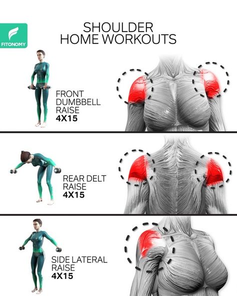 Fitonomy App on Instagram: “When it comes to shoulders, we want to complete the most effective exercises in the correct way. We have to consider training all three…” Deltoid Workout, Shoulders Workout, Best Shoulder Workout, Tone Arms Workout, Workout Women, Effective Exercises, Full Body Gym Workout, Weight Workout Plan, Crossfit Workouts