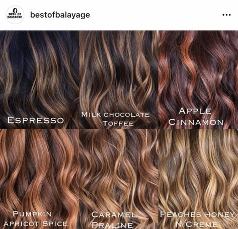 Hair Color Names, Hair Chart, Highlights Curly, Highlights Curly Hair, Summer Highlights, Hair Color Chocolate, Chocolate Hair, Color Highlights, Chocolate Toffee