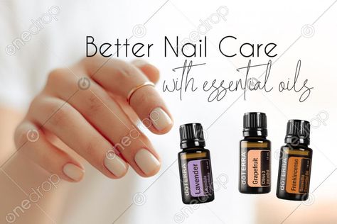 Two social media posts promoting healthy nail care with essential oils. One includes a roller ball recipe for cuticles. #nails #fingernails #roller blend #roller recipes #cuticles #lavender #frankincense #chamomile #grapefruit essential oil #roman chamomile #wellnessadvocate #doterra #wellnessstockphotos #onedropdesigns #doterrawellnessadvocate #doterratips #doterragraphics #doterraphotos Doterra Nail Strengthener, Doterra Cuticle Oil Recipe, On Guard Softgels Doterra, Doterra Breathe Rollerball Recipe, Doterra Adaptiv Roller Blend, Doterra Wellness Advocate, Balls Recipe, Healthy Nails, Media Post