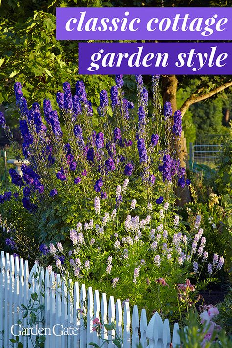 Cottage Garden Plan, Cottage Garden Style, Bee Friendly Garden, 6 Elements, Magazine Ideas, Cottage Garden Design, Fragrant Plant, English Cottage Garden, Farmhouse Garden