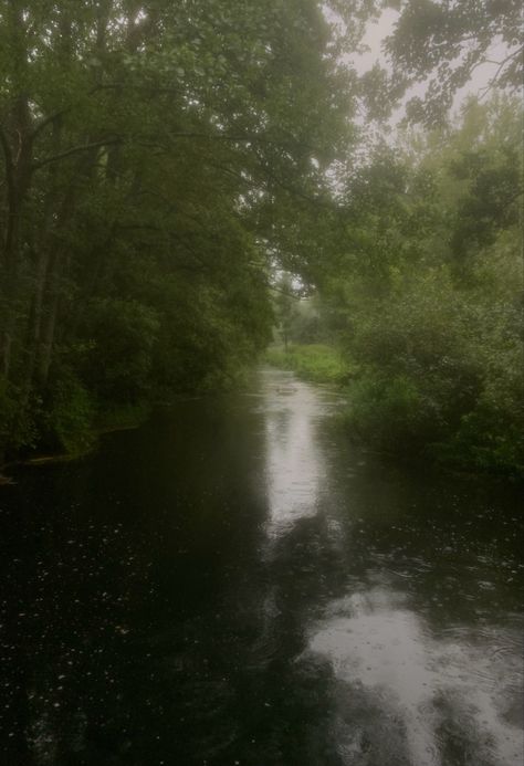 Cottagecore River, Rainy River, Grunge Cottagecore, River Photography, Aesthetic Coquette, Cottagecore Aesthetic, Rain Photography, Grunge Photography, Autumn Aesthetic