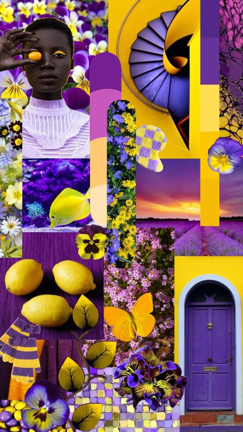 #purpleandyellow #purple #yellow Purple And Yellow Color Scheme, Yellow Violet Aesthetic, Yellow Color Combo, Purple And Yellow Bathroom, Purple Yellow Color Palette, Purple Yellow Aesthetic, Purple And Yellow Color Palette, Purple And Yellow Aesthetic, Complementary Colors Examples