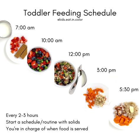 Toddler Eating Schedule, Kids Eat In Color, Baby Weaning Foods, Meal Plan For Toddlers, Jennifer Anderson, Weaning Foods, Meal Schedule, Easy Toddler Meals, Eating Schedule