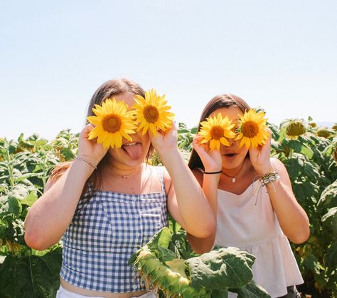 Sunflower Patch Outfit, Friend Sunflower Photoshoot, Friends Sunflower Photoshoot, Summer Sunflower Aesthetic, Sunflower Patch Photoshoot, Sunflower Pics With Friends, Sunflower Field Photoshoot Sisters, Bff Sunflower Photoshoot, Sunflower Poses