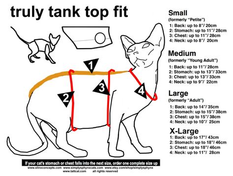 How to Measure your Cat for Clothes | Sphynx Cat World Diy Kitten Clothes, Cat Sweater Pattern, Cats Clothes, Gato Sphynx, Kitten Clothes, Small Dog Accessories, Sphynx Cat Clothes, Pet Sweaters, Dog Clothes Diy