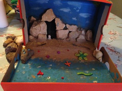 Coastline in a Shoe Box 📦  School Project 👨‍🎓 Shoe Box Art, Junk Modelling, Shoe Box Crafts, English Projects, Cow Birthday, Lord Of The Flies, Operation Christmas Child, Beach Diy, Disney Shows