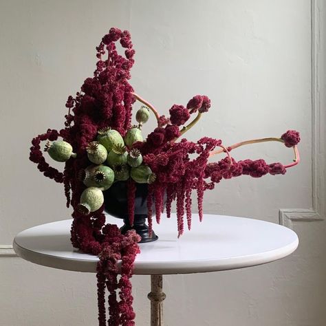 Experimental Flower Arrangement, Agos Muni, Unusual Flower Arrangements, Modern Floral Arrangements, Floral Art Arrangements, Sogetsu Ikebana, Poppy Pods, Flower Installation, Floral Trends