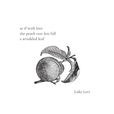 A haiku poem by Luke Levi, author of the poetry collection "So Fragile Are the Beautiful Things" #poetry #haiku #haikupoetry #poems #love Haiku Poem, Haiku Poetry, Haiku Poems, Peach Trees, Poetry Collection, Love Poems, Beautiful Things, With Love, Poetry