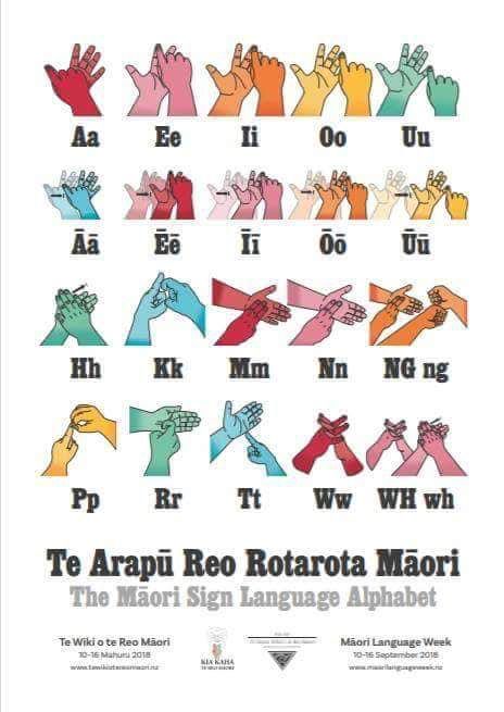 NZ Maori SL handhapes Maori Alphabet, International Sign Language, Te Reo Maori Resources, Sign Language Alphabet, Preschool Ideas, Sign Language, Fractal Art, Preschool, Alphabet