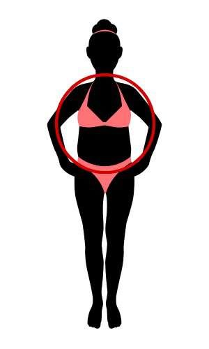 Oval Body Shape, Fashion Styles Types, Body Type Quiz, Apple Body Shape, Apple Body Shapes, Natural Wellness, Body Shape, The Body, Body Types