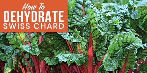 Dehydrate Swiss Chard For Easy, Versatile, Long-Lasting Greens - The Tiny Life Short Shelf, Tiny House Builders, Tiny House Loft, Tiny House Community, Building A Tiny House, Tiny House Bathroom, Tiny House Kitchen, Tiny House Movement, Swiss Chard