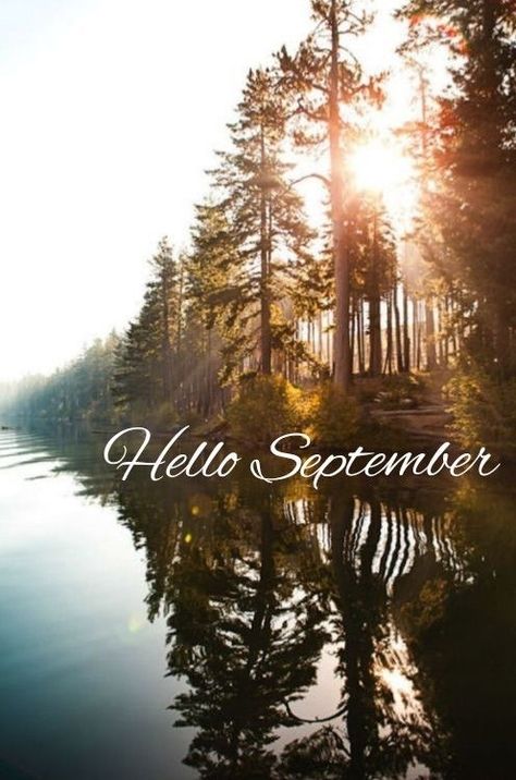 September Images, Neuer Monat, September Wallpaper, Creepy Dude, Hello September, Days And Months, Free Phone Wallpaper, Autumn Quotes, New Month