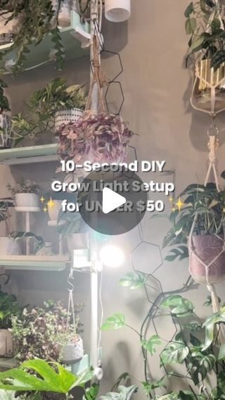 Amanda • Houseplants 🪴 on Instagram: "10-second DIY grow light setup for under $50! 🌱💡

I wanted to keep my plants happy without spending a ton or cluttering up my space, so I tried something new. I swapped out my floor lamp for a simple clamp light and grow bulb, and it only took 10 seconds to set up. It blends in nicely, cost less than $50, and my plants seem pretty pleased!

What do you think of the setup?

.
.
.
.
.

#plantcare #plantcaretips #indoorplants #indoorplant #indoorjungle #plantmom #plantparent #houseplants #plantlovers" Grow Light Set Up, Diy Grow Light, Clamp Light, Light Setup, Growing Bulbs, Grow Lamps, Indoor Jungle, My Space, Plant Lighting