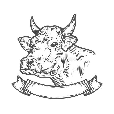 Cow Sketch, Cow Tattoo, Cow Vector, Cow Drawing, Cow Illustration, Cow Face, Engraving Illustration, Cow Head, Hand Drawn Vector Illustrations