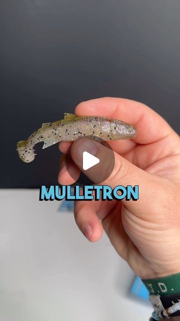 JMAXFISHING | Bass Fishing Creator on Instagram: "This lure is FISH CANDY!! Bass were crushing the Mulletron and rigging it on the weighted hook is so easy! Make sure to follow for more SICK LURES!
-
-
-
-
#bassfishing #bassfishingismylife #bassfishingnation #bigbass #fishing #lures #swimbait #zmanfishing #bassfishin #fishon #outdoors" Fish Candy, How To Fish, Bass Fishing, Fishing Lures, Follow For More, Make Sure, Bass, Fishing, Fish