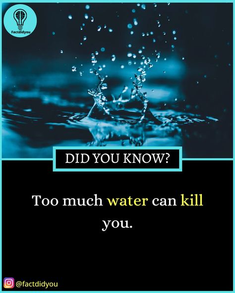 Facts Knowledge | Daily Facts | Best Knowledge | Trending Facts | Best Facts Funny Weird Facts, Neat Quotes, Best Facts, Physiological Facts, Cool Science Facts, Unknown Facts, Knowledge Facts, Daily Facts, Interesting Stories