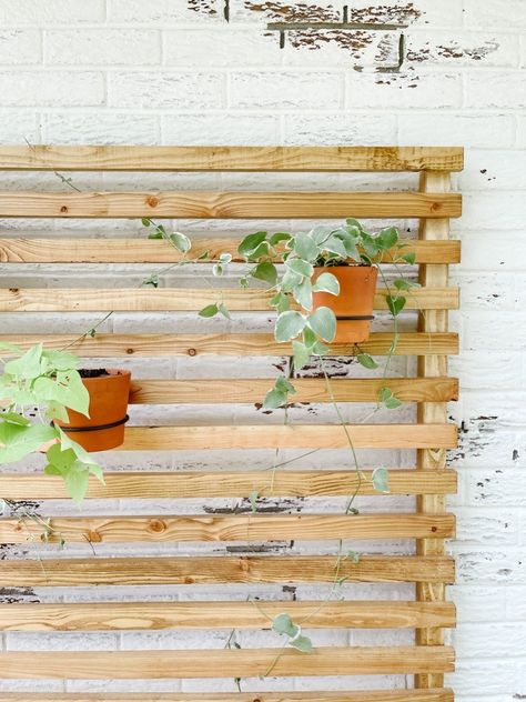 DIY Simple Slatted Wood Trellis - Sprucing Up Mamahood Wood Slat Trellis, Dyi Patio, Shade Trellis, Backyard Privacy Screen, Backyard Covered Patios, Wall Trellis, Wood Trellis, Lattice Trellis, Slate Wall