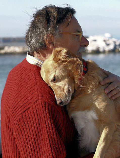 "This photo touched my heart so deeply, I nearly cried. This kind of deep unconditional love and incredible bond is what I have always had with my own pets..... which makes losing them so incredibly devastating." ~Skye Touching Photos, 골든 리트리버, Love My Dog, Sweet Animals, Akita, Mans Best Friend, 귀여운 동물, Metropolis, Animals Friends