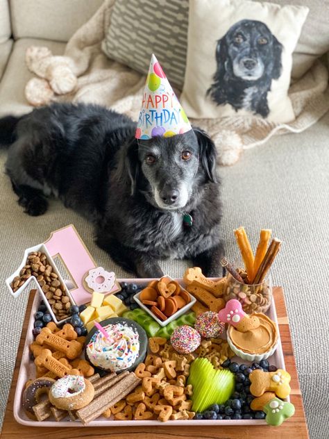 Dog Tea Party, Barkuterie Board For Dogs, Pet Party Ideas For Dogs, Dog Treat Packaging Ideas, Dog Charcuterie Board, Dog Birthday Party Pets, Dog First Birthday, Colorful Hairstyles, Puppy Birthday Parties