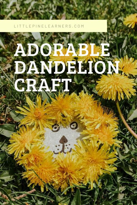 Try this simple and adorable spring craft for kids today! You just need a few supplies to make these absolutely adorable dandelion rock people. You can make just one rock person or a whole family of rock people, complete with a dandy-lion family pet;) Dandelion Craft, Rock People, Forest School Activities, Rock Family, Nature School, Spring Craft, Spring Crafts For Kids, Outdoor Learning, Crafty Kids