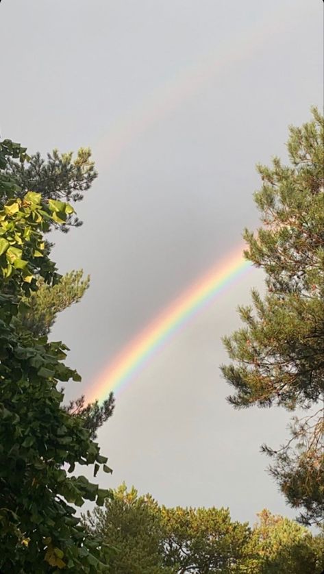 Rainbow Pictures, God's Promise, Sky Photography Nature, Blur Photo, Cute Flower Wallpapers, Sky View, Aesthetic Images, Beautiful Nature Scenes, Life Inspiration