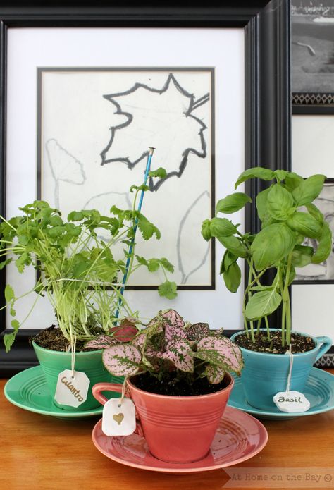 Tea cup planters for your herbs with tea tag markers...could look super cute with really decorative tea cups Kitchen Window Herb Garden, Tea Cup Planter, Window Herb Garden, Herb Garden Markers, Herb Garden Pots, Herb Garden In Kitchen, Garden Planters Pots, Gift Presentation, Deco Nature