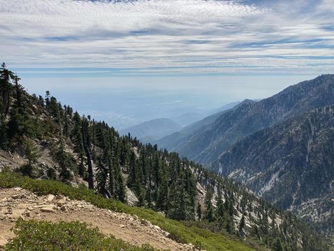 San Bernardino National Forest, Bureau Of Land Management, National Park California, San Jacinto, California National Parks, San Bernardino, Us National Parks, Take Note, The Wilderness