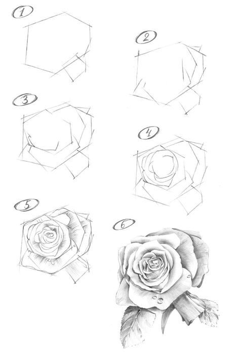 How to draw a rose. Step-by-step drawing tutorial. Rose Drawing Simple, Draw A Rose, Simple Flower Drawing, Rose Sketch, Flower Drawing Tutorials, Drawing Tutorial Face, Nature Art Drawings, Flower Art Drawing, Art Drawings Sketches Pencil