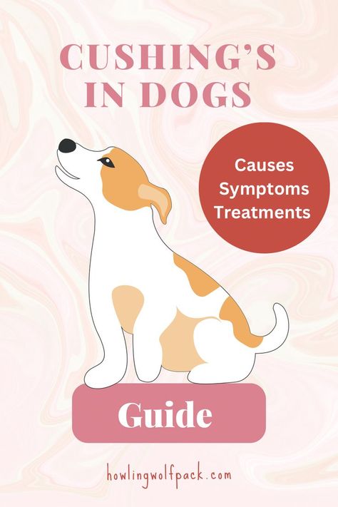 Cushings Disease Dogs, Cushings Disease, Dog Illnesses, Cushings Syndrome, Dog Remedies, Dog Joints, Adrenal Support, Home Remedy For Cough, Disease Symptoms