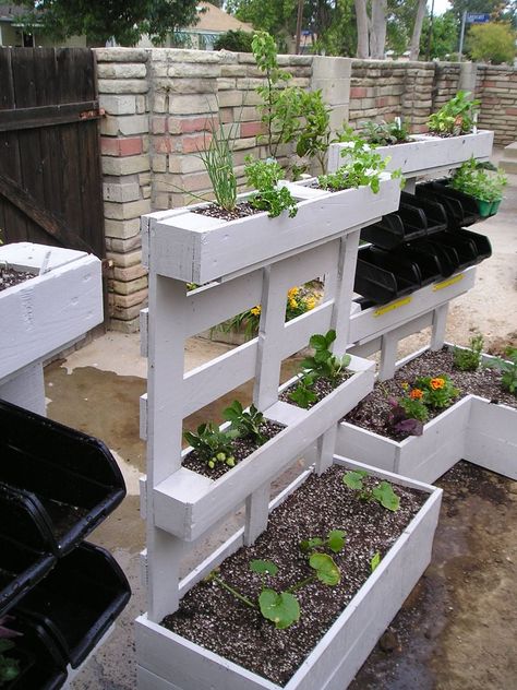 Raised garden made out of a pallet...hmmmm...may have to do this!   Visit & Like our Facebook page! https://www.facebook.com/pages/Rustic-Farmhouse-Decor/636679889706127 Plantarea Legumelor, Vertical Pallet Garden, Taman Air, Garden Rustic, نباتات منزلية, Garden Privacy, Pallet Planter, Recycled Pallet, Herb Planters