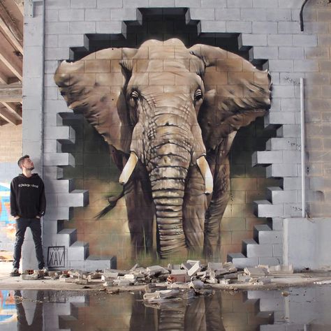 Elephant street art by Xav Illusion Kunst, Street Art Illusions, Wall Street Art, Sidewalk Art, Street Painting, Charcoal Drawings, 3d Street Art, Amazing Street Art, Murals Street Art