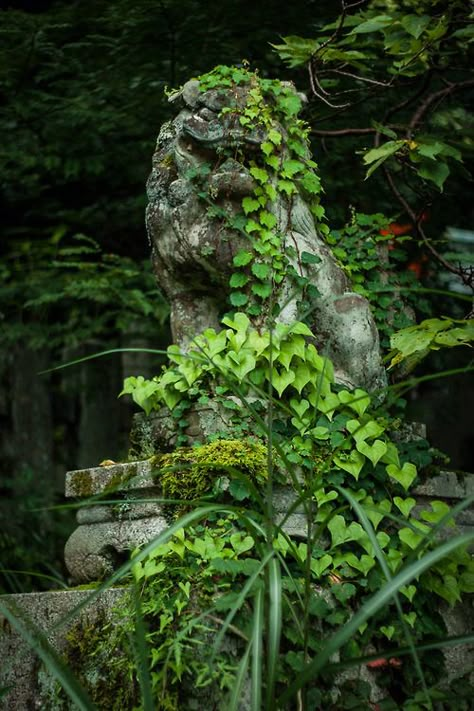 Japanese Forest, Japanese Shrine, Japanese Landscape, Stone Statues, Japanese Architecture, Fantasy Concept Art, Fantasy Aesthetic, Kyoto Japan, Perfect World