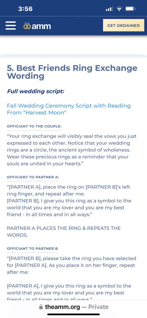 Friend Officiating Wedding Script, Ring Exchange Wording, Fall Wedding Ceremony, Best Friend Rings, Wedding Ceremony Script, Handfasting Cords, Wedding Script, Ring Exchange, Friend Rings