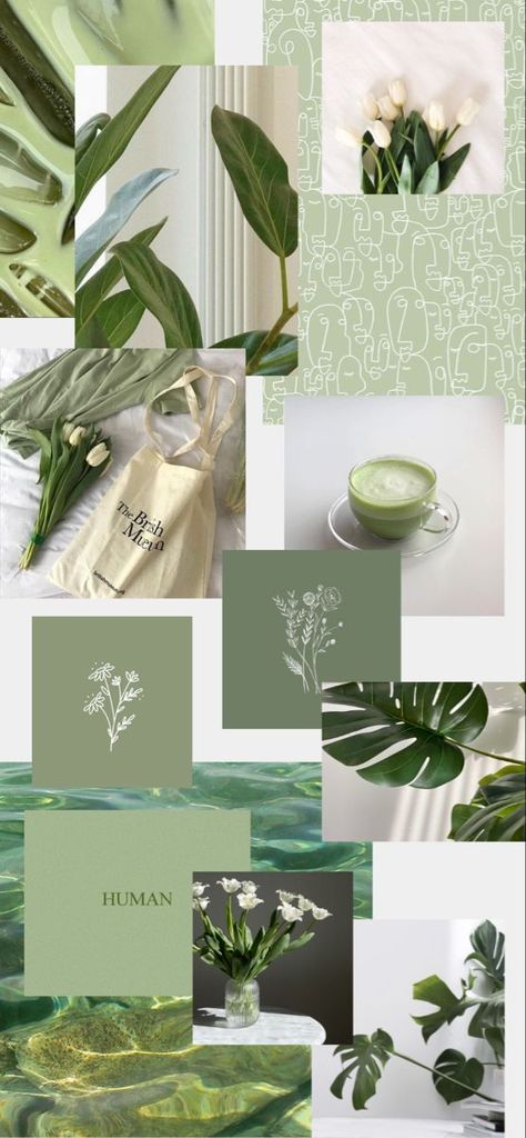 Inspo Wallpaper, Aesthetic Wallpaper Lockscreen, Green Inspo, Wallpaper Hijau, Hijau Mint, Aesthetic Wallpaper, Sage Green, Mint, Green