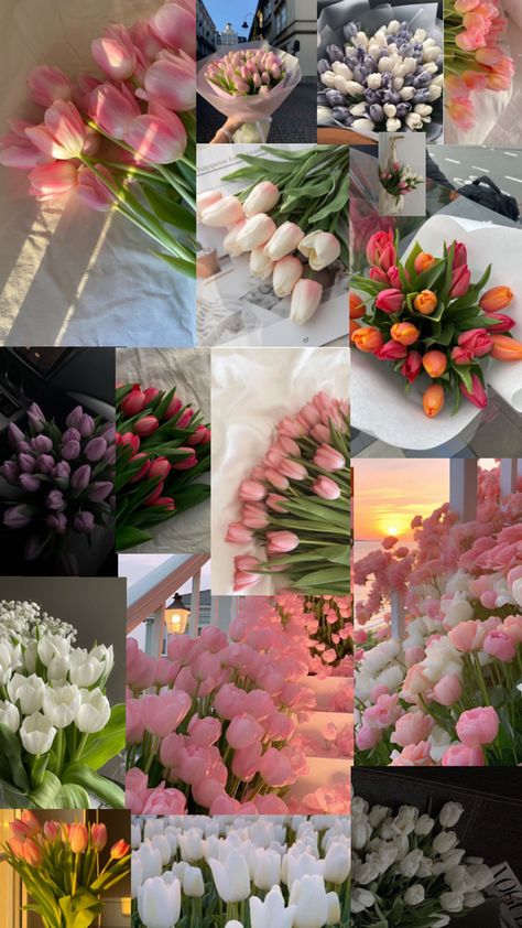 Flower/walpaper/collage Tulips Collage, Tulip Collage, Tulip Flower Pictures, Luxury Flower Bouquets, Very Beautiful Flowers, Boquette Flowers, Flowers Bouquet Gift, Nothing But Flowers, Wallpaper Nature Flowers