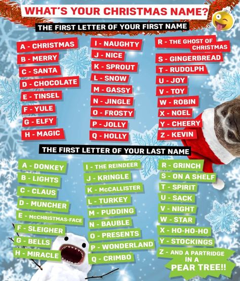 How to Make a Name Generator: What's Your Christmas Name? | Beano.com Christmas Name Generator, Funny Name Generator, Fun Christmas Party Games, Christmas Writing, Fun Christmas Games, Family Christmas Party, Christmas Names, Happy Birthday Jesus, Funny Names